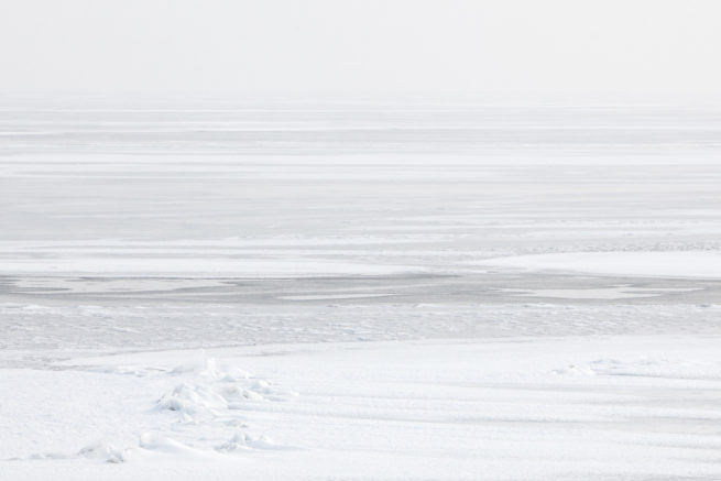 Winterlandschap Noord-Holland