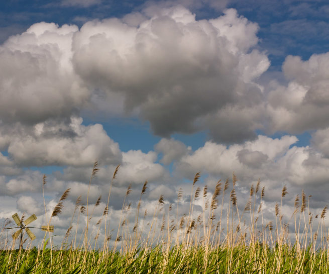 Polderlandschap Spaarndam